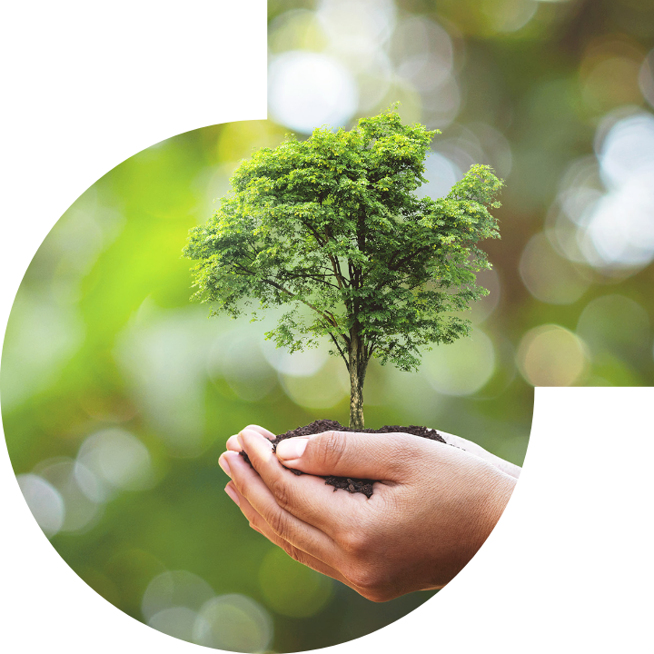 關懷人類、文化、環境與社會